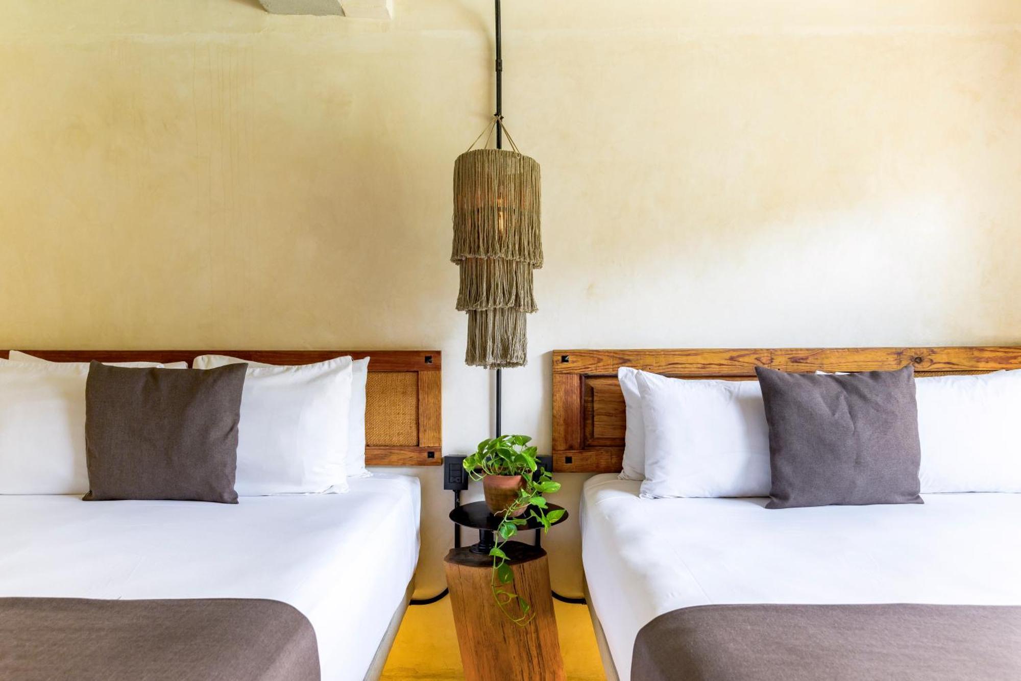 Caribbean Paradise Hotel & Spa - 5Th Avenue Плая-дель-Кармен Экстерьер фото